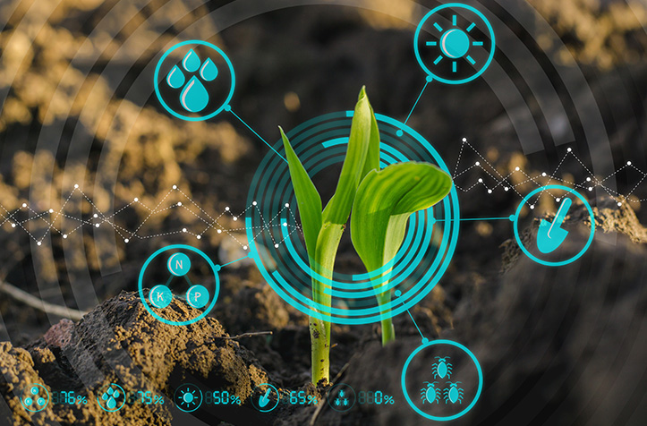 TUTTOFOOD: Inovação e o futuro do ecossistema agroalimentado